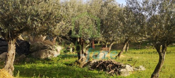3 Schlafzimmer Haus in Evora, Portugal, Nr. 78503 9