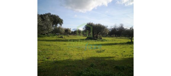 3 Schlafzimmer Haus in Evora, Portugal, Nr. 78503 25