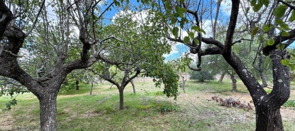 7 bedrooms Villa in Martina Franca, Italy No. 352280 56