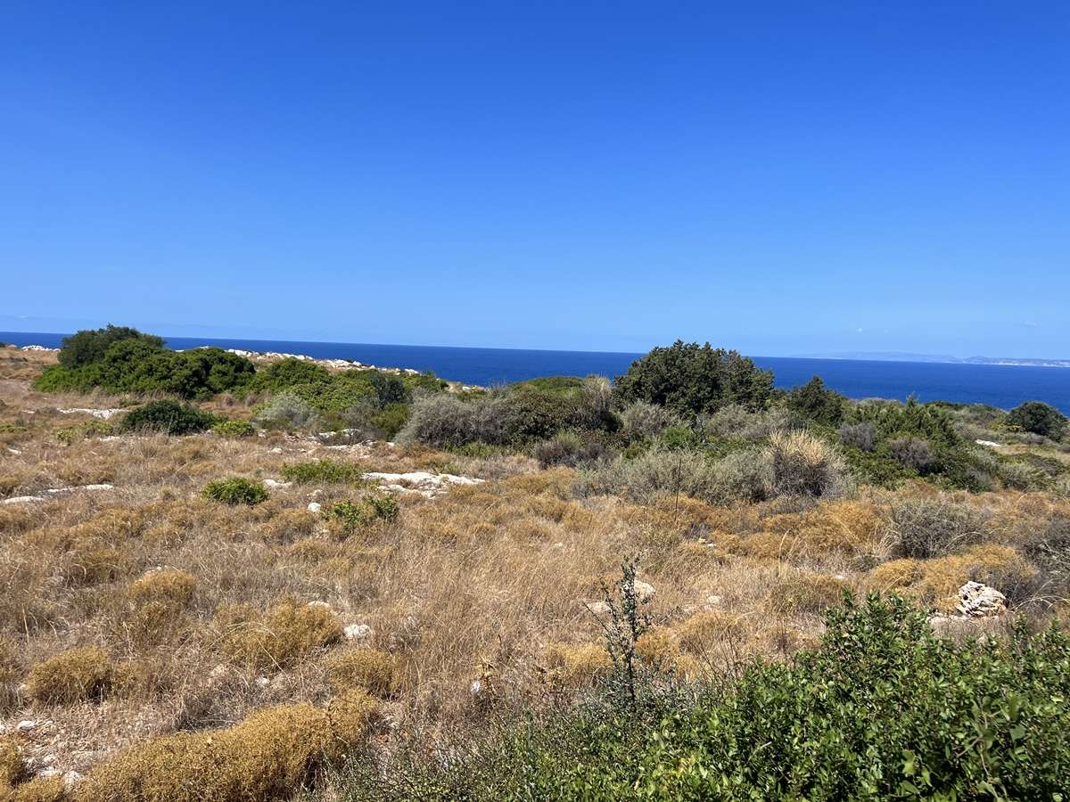  Land in Zakynthos, Greece No. 8531