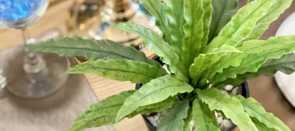 1 bedroom Apartment in Pattaya, Thailand No. 20202 7