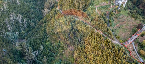  قطعة أرض في Funchal, Portugal 41760متر مربع رقم 92664 5