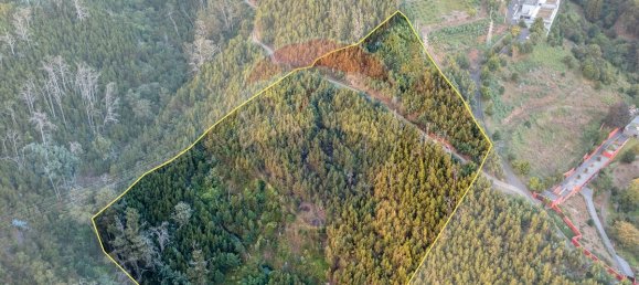  قطعة أرض في Funchal, Portugal 41760متر مربع رقم 92664 4