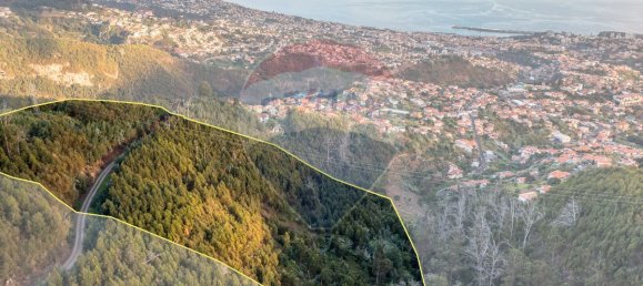  قطعة أرض في Funchal, Portugal 41760متر مربع رقم 92664 2