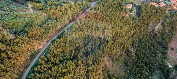  قطعة أرض في Funchal, Portugal 41760متر مربع رقم 92664 8