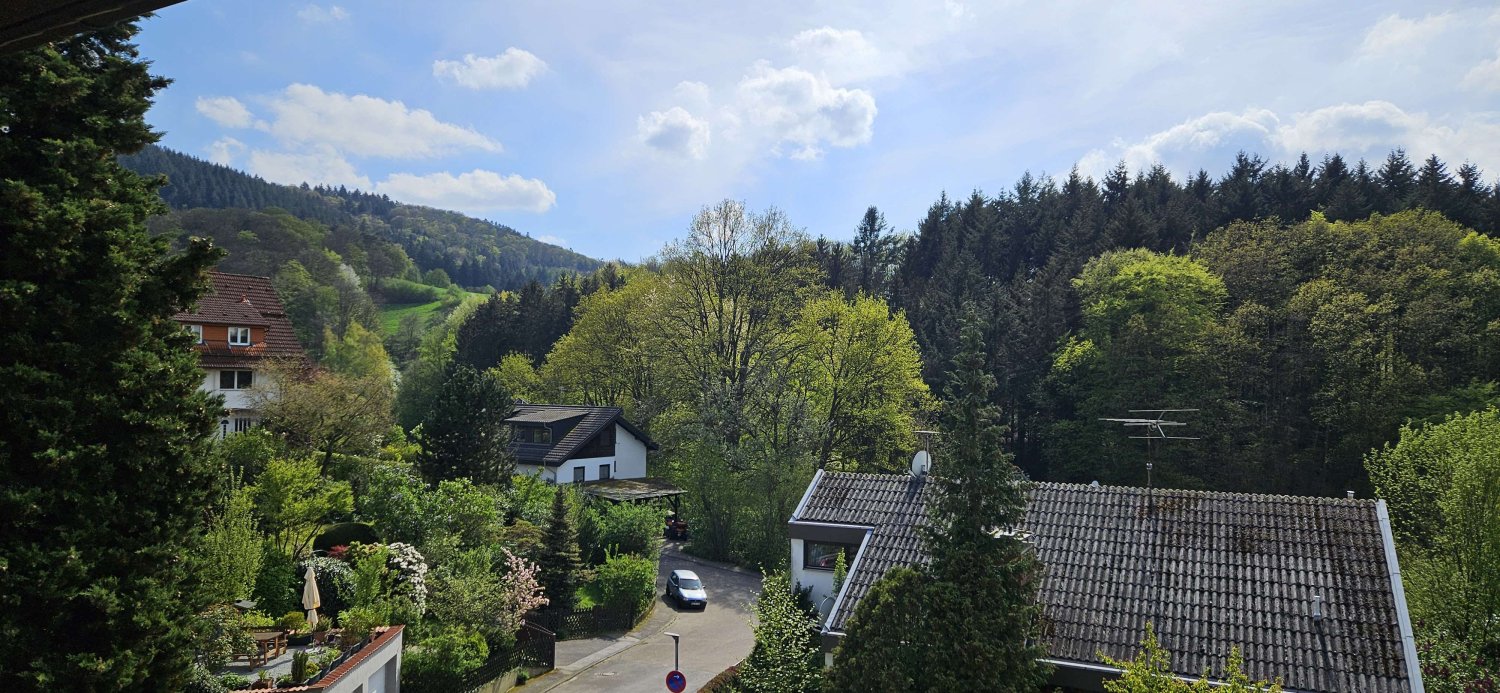 2 غرف نوم فيلا في Rhein-Neckar-Kreis, Germany رقم 28035