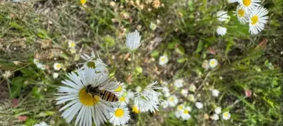 Terrain à Freising, Germany No. 329622 6