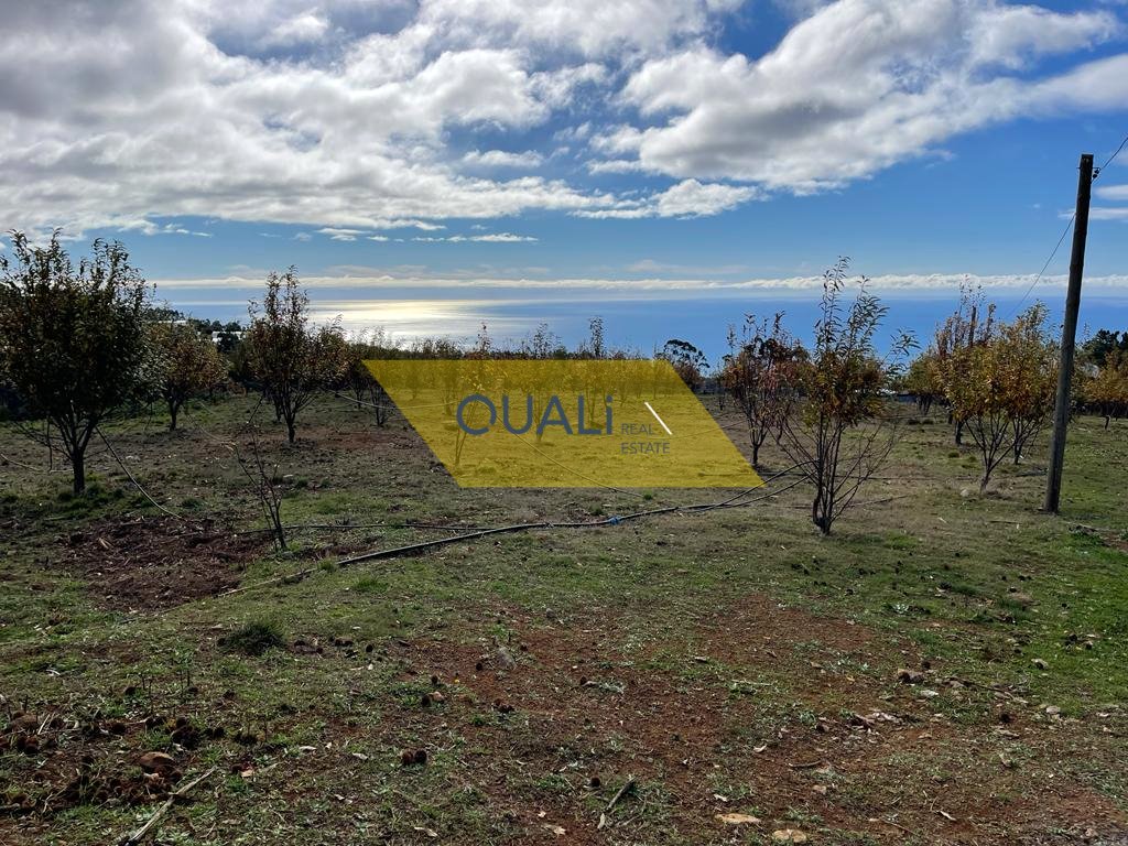 Terreno en Calheta, Portugal No. 109569