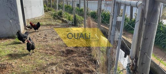 Terreno en Calheta, Portugal No. 109569 4