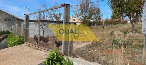 Terreno en Calheta, Portugal No. 109569 5