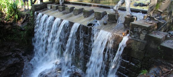 Terreno en Calheta, Portugal No. 109569 20