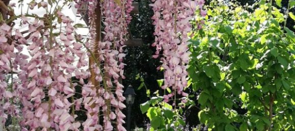 8 bedrooms Villa in Florence, Italy No. 344870 10