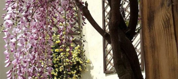 8 bedrooms Villa in Florence, Italy No. 344870 4