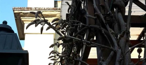 8 bedrooms Villa in Florence, Italy No. 344870 9