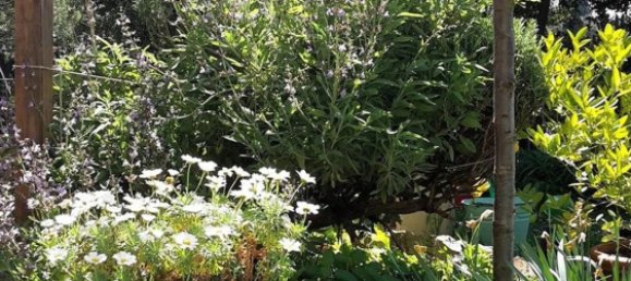 8 bedrooms Villa in Florence, Italy No. 344870 11