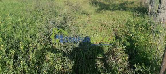 Terreno em Castelo Branco, Portugal N.º 89485 4