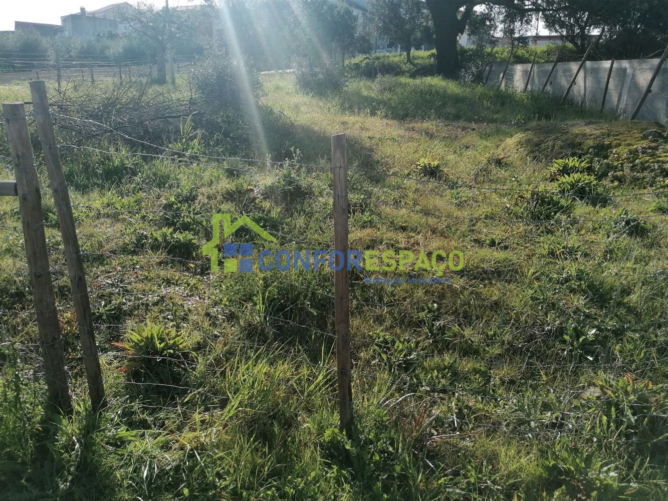 Terreno em Castelo Branco, Portugal N.º 89485