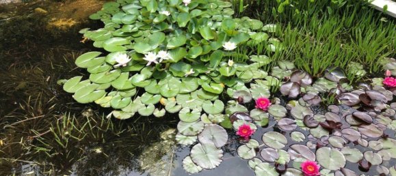Casa de 5 habitaciónes en Klosterneuburg, Austria No. 184797 14
