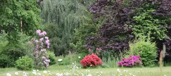 Casa de 3 divisões em Vogtlandkreis, Germany N.º 288905 12