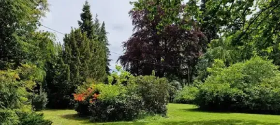 Casa de 3 divisões em Vogtlandkreis, Germany N.º 288905 8