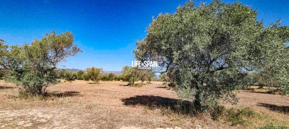 Casa T1 em Tarragona, Spain N.º 172893 4