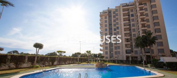 2 bedrooms Apartment in Guardamar del Segura, Spain No. 159915 26