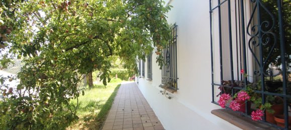  Land in Ronda, Spain No. 20517 20