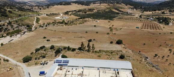  Land in Ronda, Spain No. 20517 13