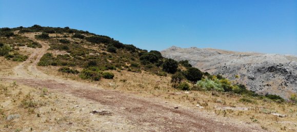  Land in Ronda, Spain No. 20517 4