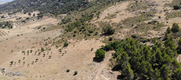  Land in Ronda, Spain No. 20517 15