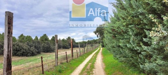 2532m² Land in Marugan, Spain No. 73813 24