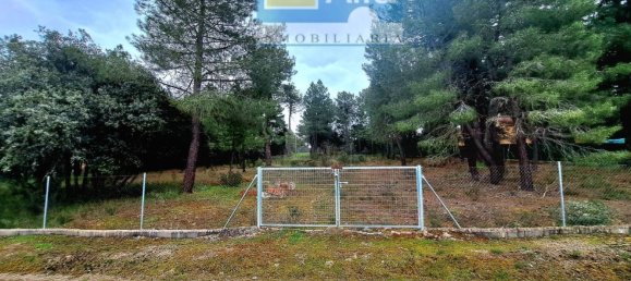 2532m² Land in Marugan, Spain No. 73813 12