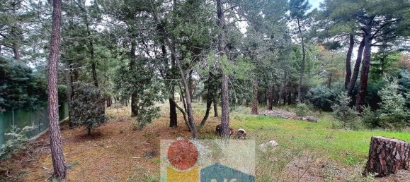 2532m² Land in Marugan, Spain No. 73813 7