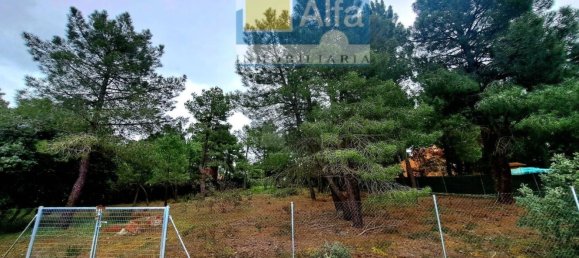 2532m² Land in Marugan, Spain No. 73813 17