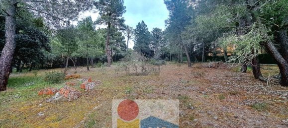 2532m² Land in Marugan, Spain No. 73813 16