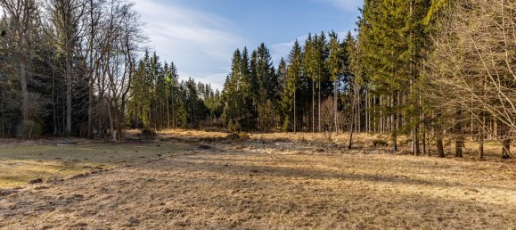  Land in Schrems, Austria No. 126454 3