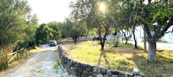 4-Zimmer Villa in Centola, Italy, Nr. 84634 16