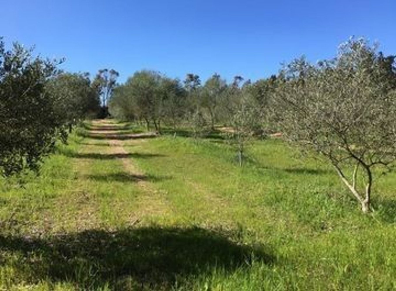 10000m² Land in Castellammare del Golfo, Italy No. 261015