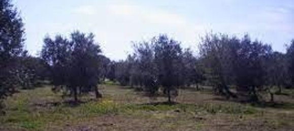 10000m² Land in Castellammare del Golfo, Italy No. 261015 2