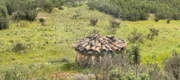 قطعة أرض في Silves, Portugal 41020متر مربع رقم 54478 9