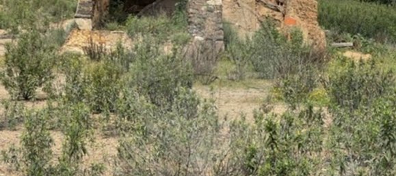 قطعة أرض في Silves, Portugal 41020متر مربع رقم 54478 7