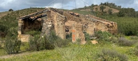 قطعة أرض في Silves, Portugal 41020متر مربع رقم 54478 10