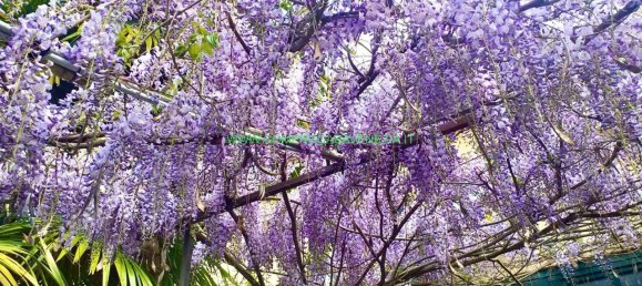 Вилла с 6 комнатами в Казьер, Италия № 234469 22