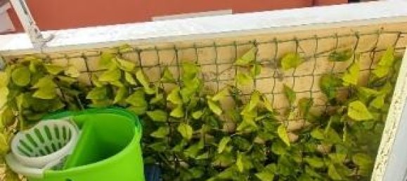 3 rooms Apartment in Alassio, Italy No. 234445 8