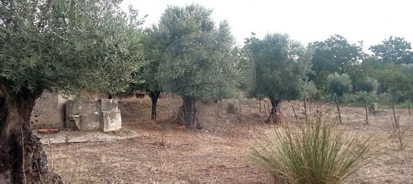 1 bedroom House in Vale de Cavalos, Portugal No. 179578 4