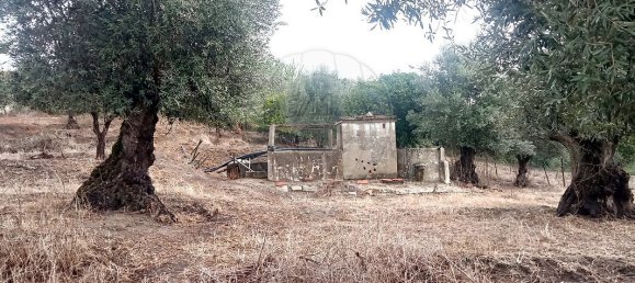 1 bedroom House in Vale de Cavalos, Portugal No. 179578 5