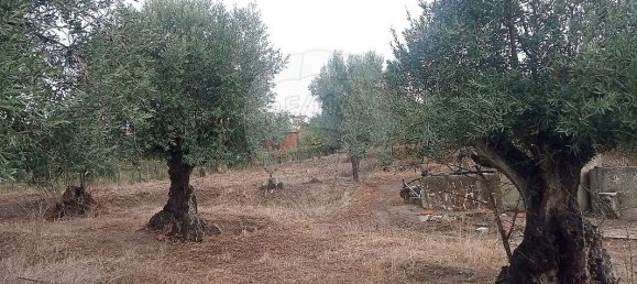 1 bedroom House in Vale de Cavalos, Portugal No. 179578 6