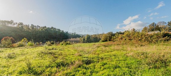 12756m² Land in Cabeceiras de Basto, Portugal No. 30781 13