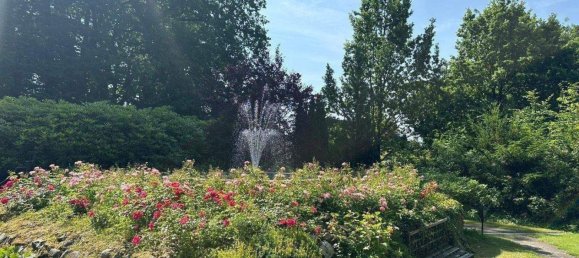 10 rooms House in Harburg, Germany No. 274287 3