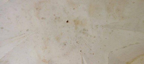 Grundstück in Neviano, Italy 3000m², Nr. 122537 15